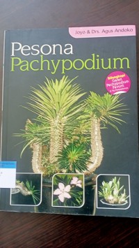 Pesona pachypodium
