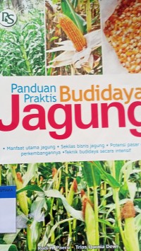 Panduan praktis budidaya jagung